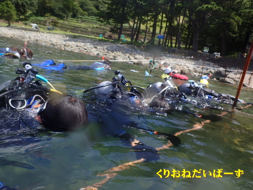 黄金崎体験ダイビング