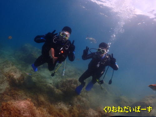 黄金崎体験ダイビング