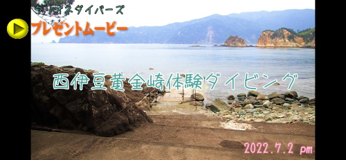 黄金崎体験ダイビング