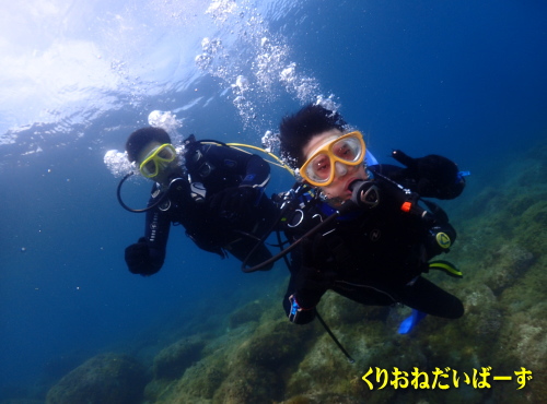 黄金崎体験ダイビング