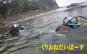 黄金崎体験ダイビング