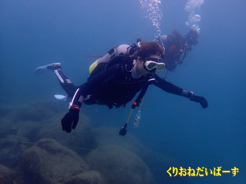 黄金崎体験ダイビング