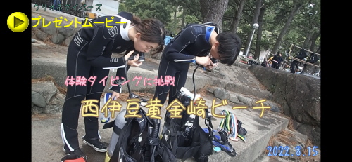 黄金崎体験ダイビング