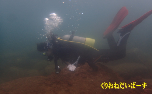 黄金崎体験ダイビング