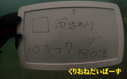 田子ダイビング講習