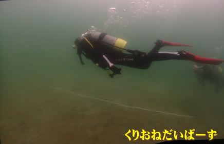 田子ダイビング講習