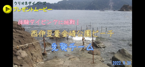 黄金崎体験ダイビング