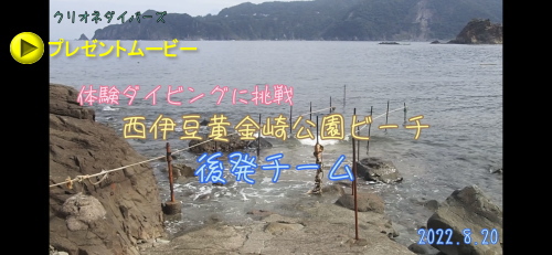 黄金崎体験ダイビング