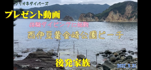 黄金崎体験ダイビング