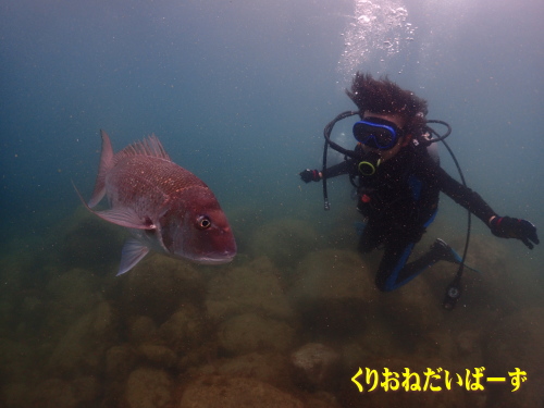 黄金崎体験ダイビング
