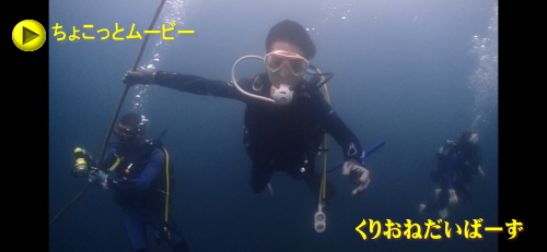 田子ダイビング