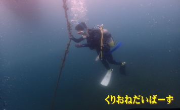 田子ダイビング