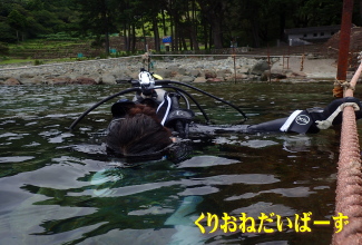 黄金崎ダイビング