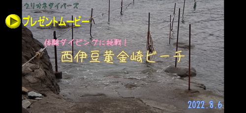 黄金崎体験ダイビング