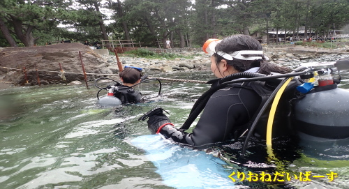 黄金崎体験ダイビング