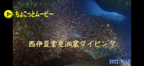 雲見洞窟ダイビング