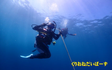 雲見洞窟ダイビング