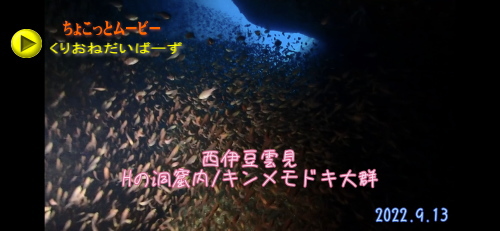 雲見洞窟ダイビング