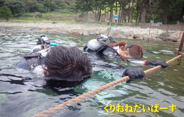黄金崎体験ダイビング