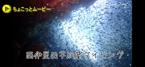 雲見洞窟ダイビング