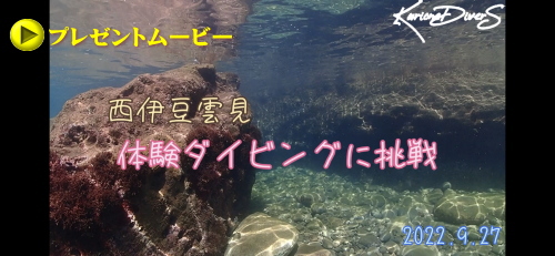 雲見洞窟ダイビング