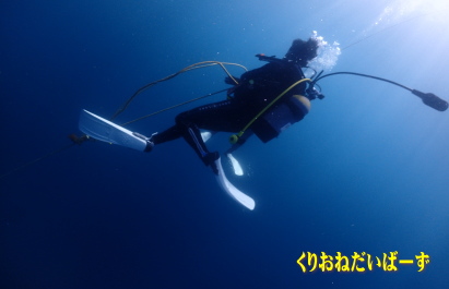 雲見ダイビング