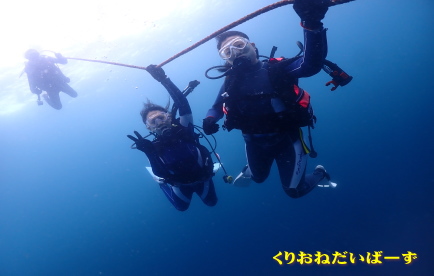 西伊豆田子ダイビング