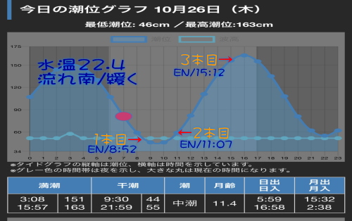 西伊豆サクラダイ