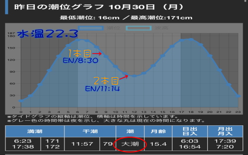 西伊豆サクラダイ
