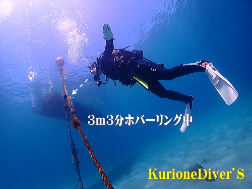 田子ダイビング