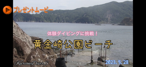 黄金崎体験ダイビング