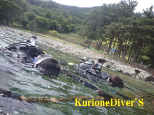 黄金崎体験ダイビング