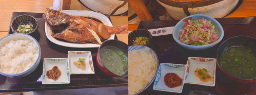 西伊豆田子ダイビング