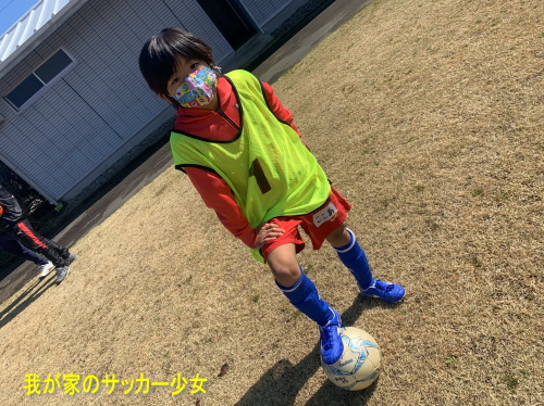 ɓWjAqTbJ[