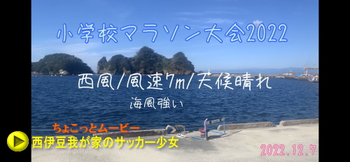 東海ルーキーリーグ2022宇都宮海斗