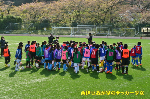 静岡県女子ジュニアサッカー