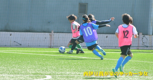 静岡県女子ジュニアサッカー