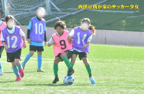 静岡県女子ジュニアサッカー