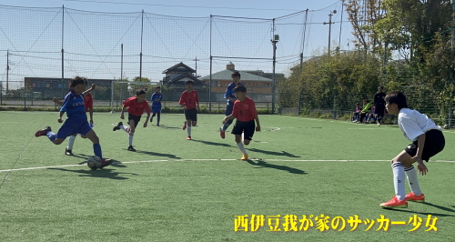 バーモンドカップ沼津予選2023
