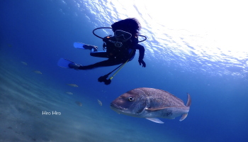 ������̌��r�[�`