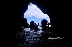 �̌����A�_�C�r���O