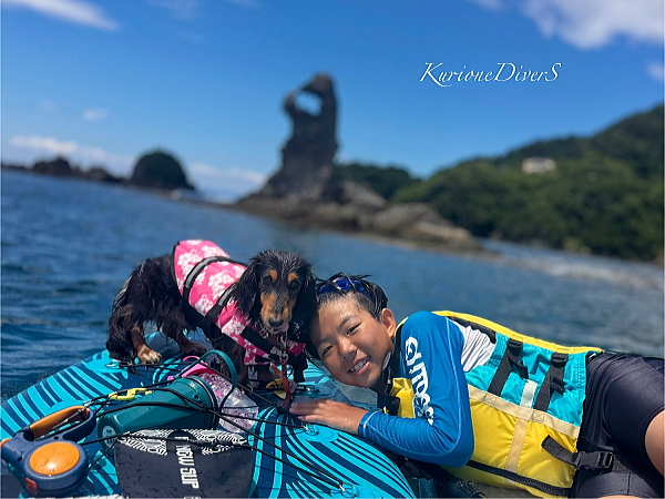SUPボードの上で飼い主様と一緒にリラックスするワンちゃんの様子