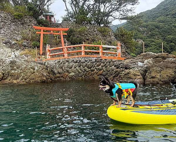 安良里SUP記念写真
