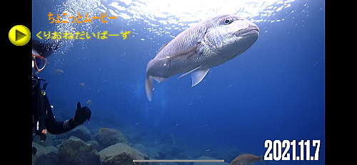 ダイビングライセンス講習