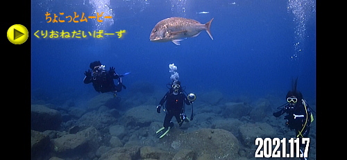 西伊豆黄金崎体験ダイビング