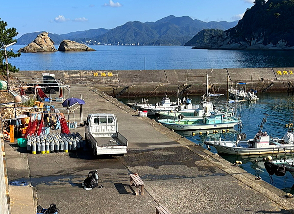 完全貸切状態の雲見の港