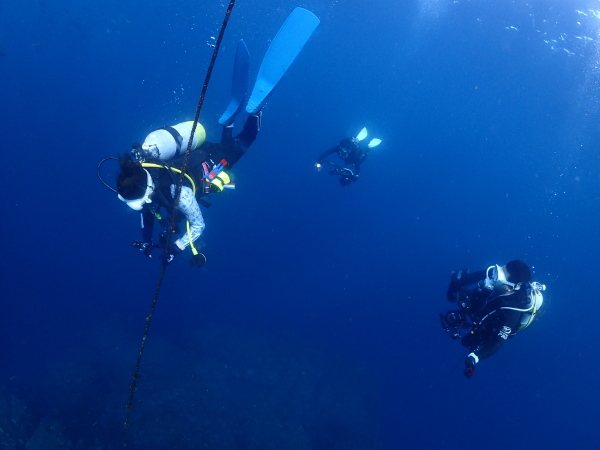 シークレットポイントのダイナミックな地形と青い海