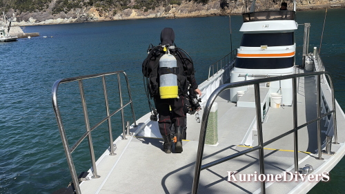 �N���I�l�_�C�o�[�Y�̃{�[�g�ɏ�荞�ޑ̌��_�C�o�[