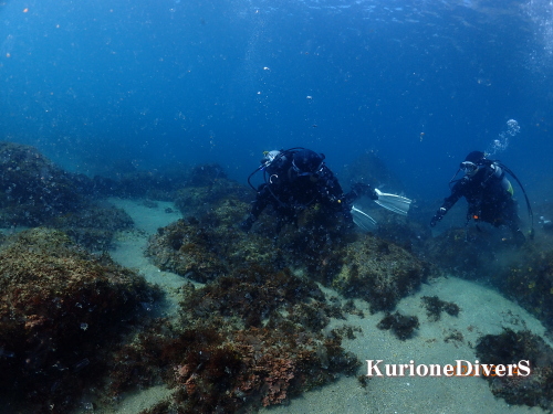 �����x���Q�̐��ɓ��̐������j���_�C�o�[