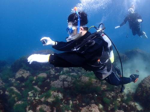 西伊豆・黄金崎の海で、持参したGoProを使って水中動画を撮影する体験ダイビングのゲスト。